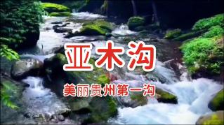 想问一下这是什么车?-专业问答社区
