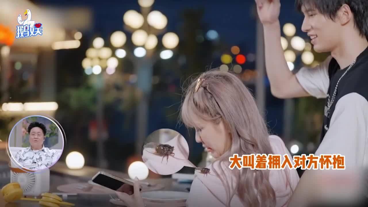 解锁吉鹿力问答社区,探索