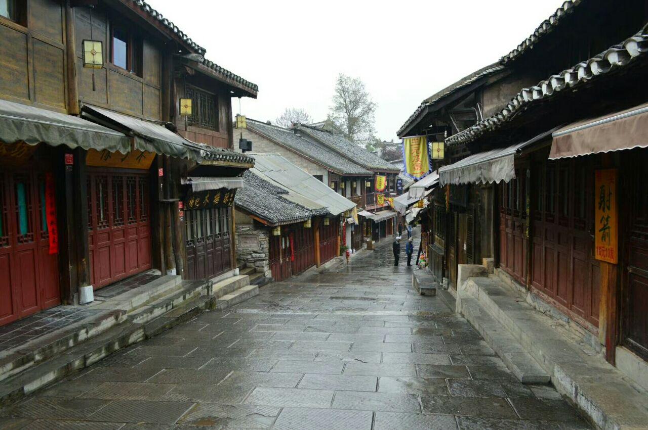 春雨直播app